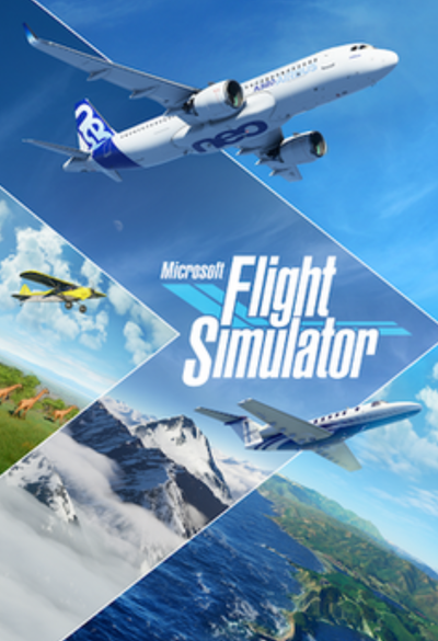 MSFT Flight Simulator